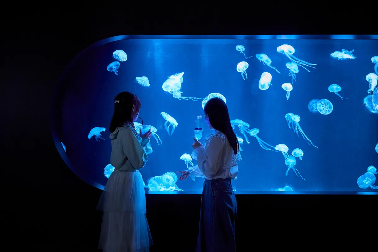 3_AOAO SAPPORO(北海道)