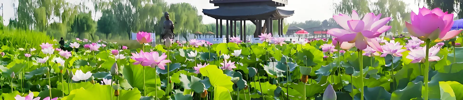 玩水避暑