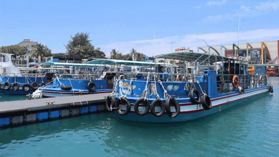 Blue Whale Semi-submarine for Underwater Sightseeing