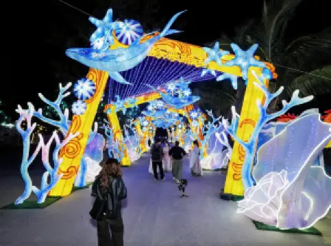 LUFENG·SHANGHAI BEACH