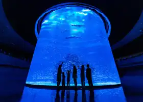 Xiaomeisha Sea World