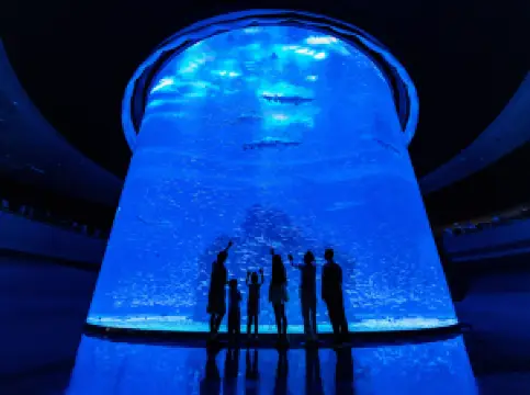 Xiaomeisha Sea World