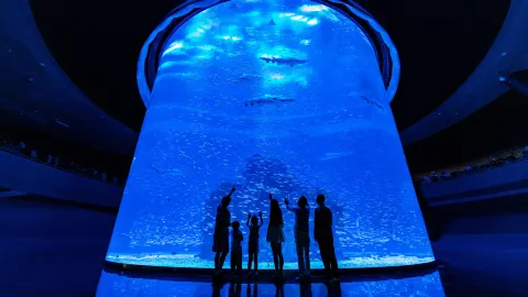 Xiaomeisha Sea World attraction in Shenzhen