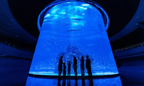 Xiaomeisha Sea World