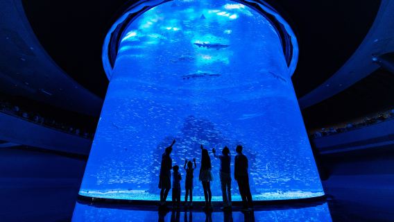 Xiaomeisha Sea World