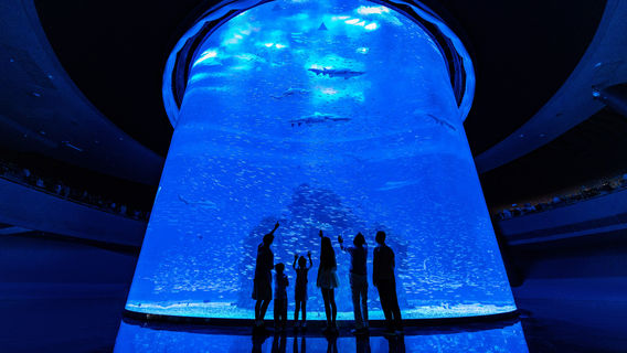 Xiaomeisha Sea World