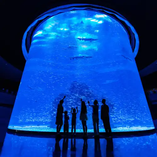 Xiaomeisha Sea World