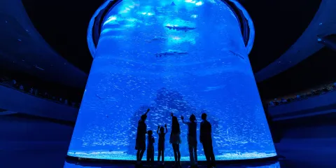 小梅沙海洋世界