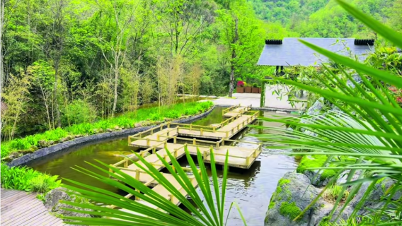 Canglong Gorge Scenic Area