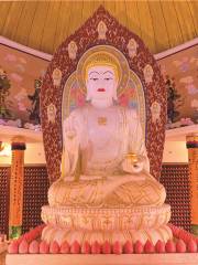 Nanshan Pharmacist Jade Buddha