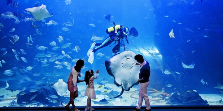 Aqua Planet ILSAN