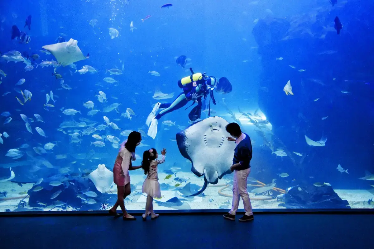 아쿠아플라넷 일산