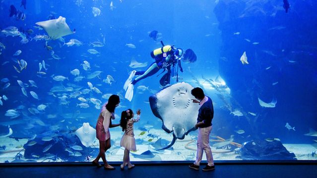 아쿠아플라넷 일산