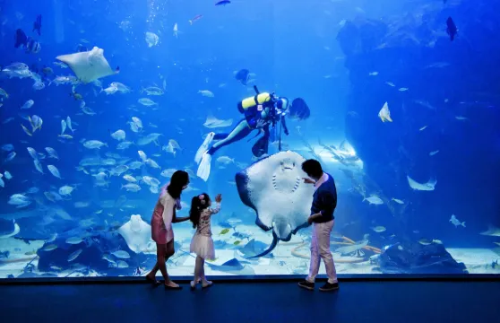 一山Aqua Planet水族館門票大小同價（非韓國籍）