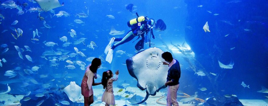 一山Aqua Planet水族館