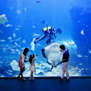 Aqua Planet ILSAN