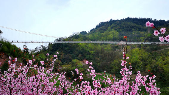 Tianfu Flower Valley