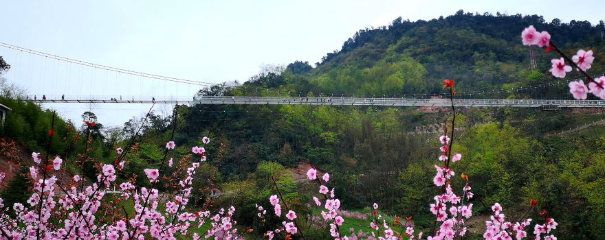 Tianfu Flower Valley