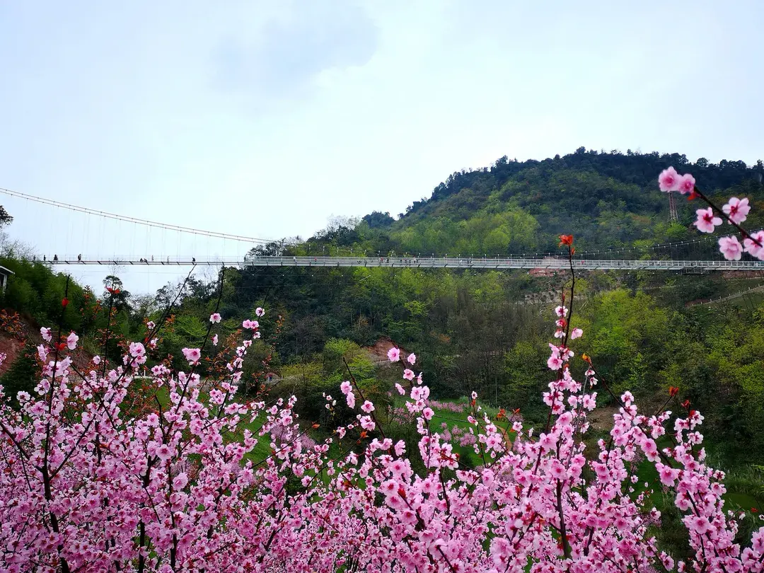 1_Tianfu Flower Valley
