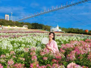 Manhua Sea of Flowers
