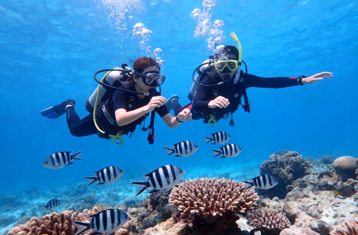 沖繩市的熱門特色體驗