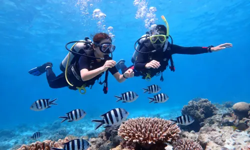 Scuba Diving in Okinawa