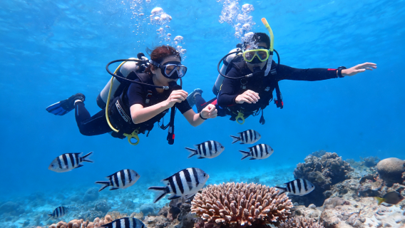 Scuba Diving in Okinawa