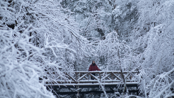 Longcanggou National Forest Park