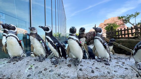 Jōetsu Aquarium Umigatari