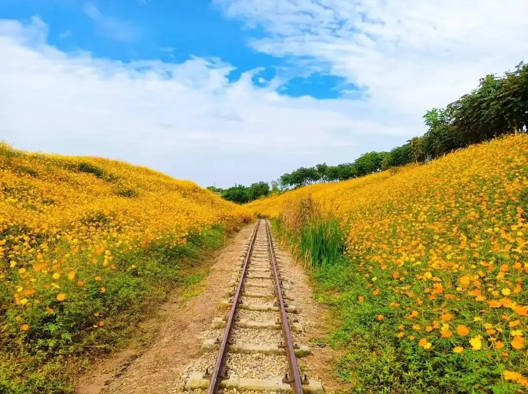 Hotels near Weiran Flower Field