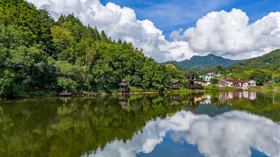 Wuzhishan Fangnuo Village Tropical Rainforest