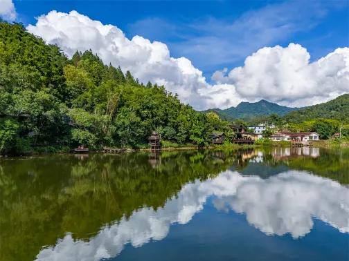 五指山方諾寨熱帶雨林