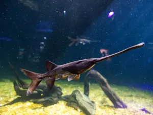 The Florida Aquarium
