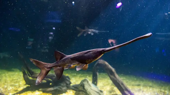 2_The Florida Aquarium