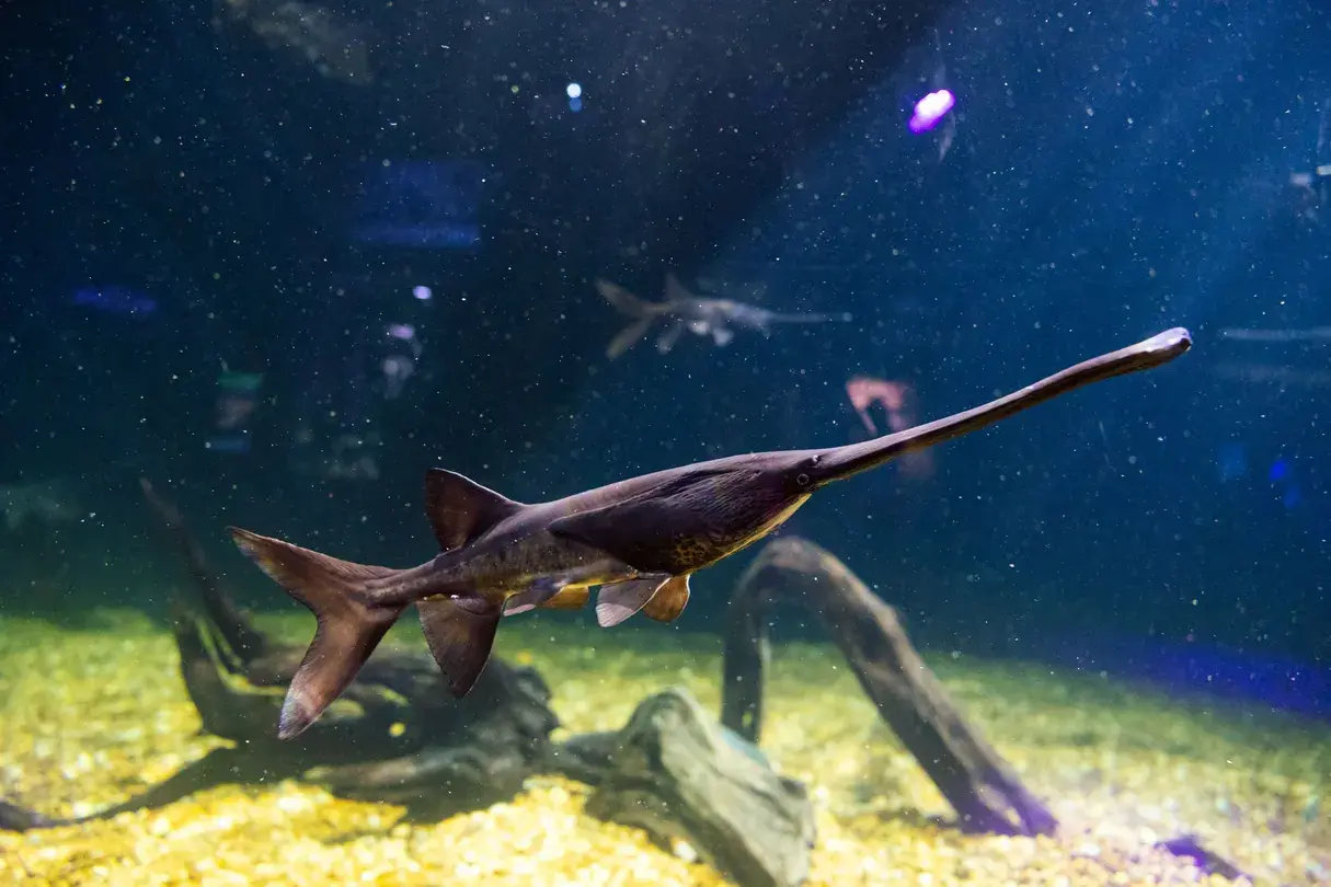 2_The Florida Aquarium