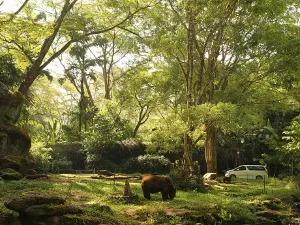 Taman Safari Indonesia Bogor