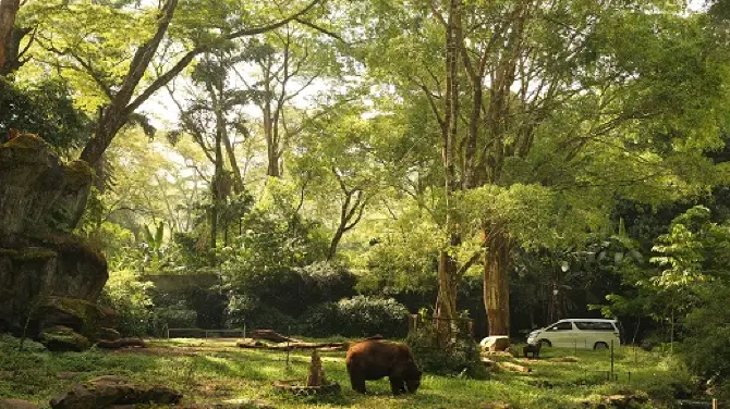 2_Taman Safari Indonesia Bogor