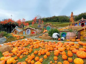 안지의 가을 경치 베스트 10