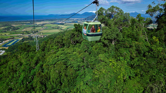 Skyrail Rainforest Cableway