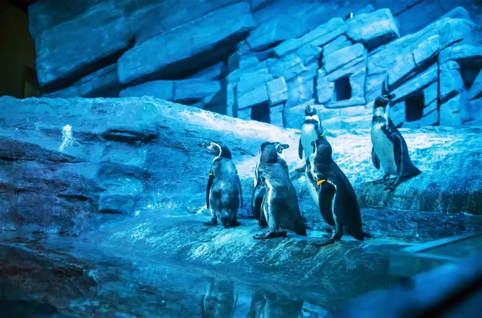 3_Aquaria Phuket