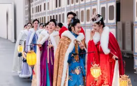 Unique Dream of Red Mansion