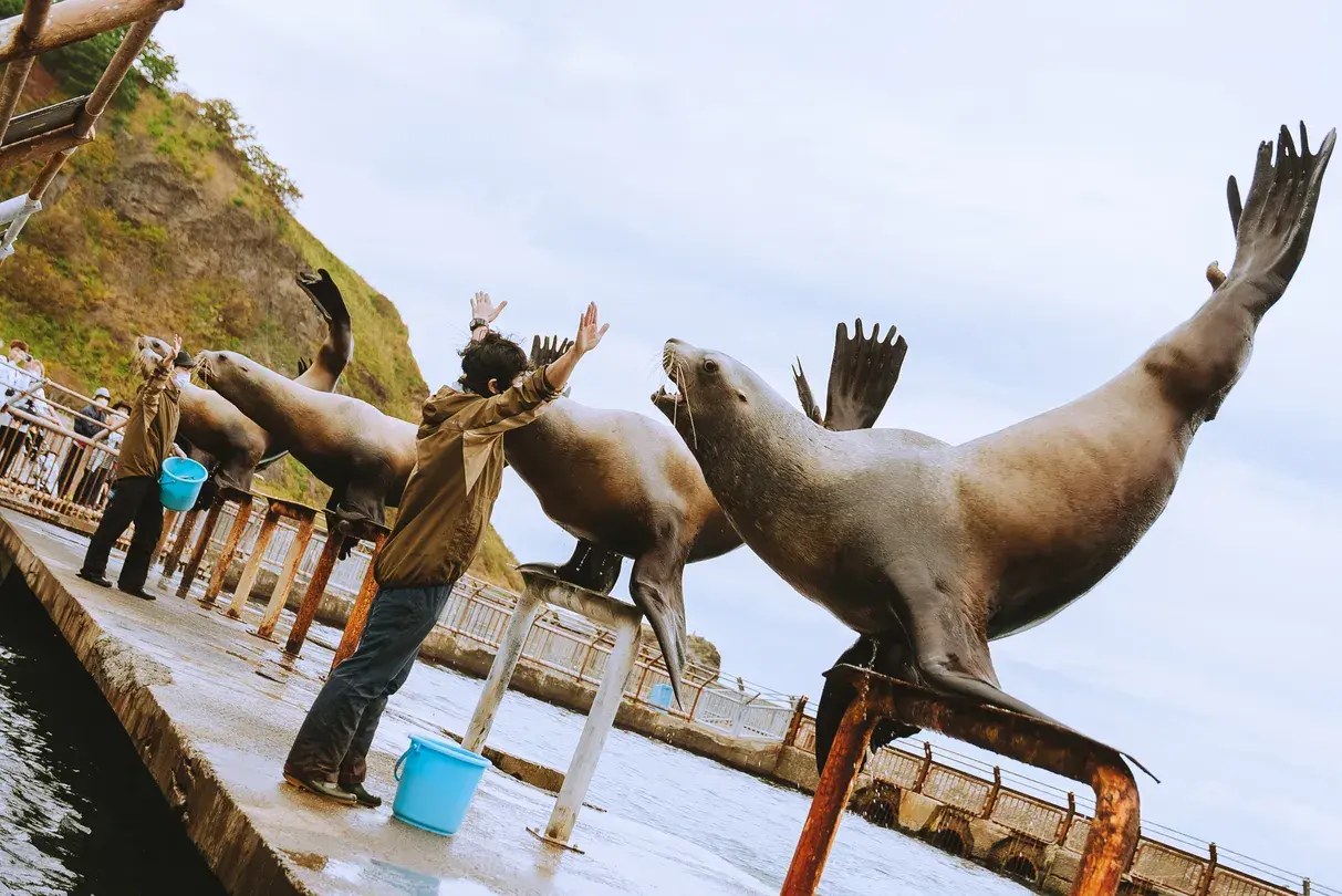 2_오타루 아쿠아리움