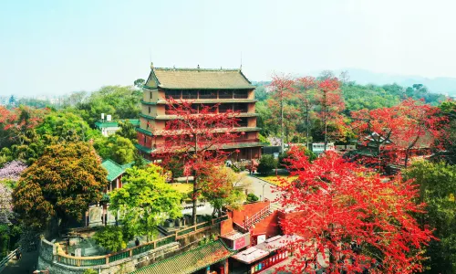 廣州博物館