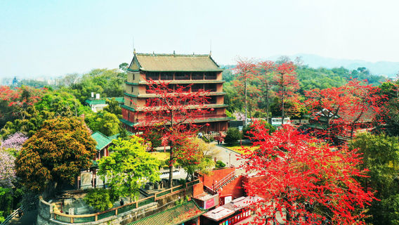 Guangzhou Museum
