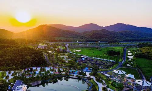 Valley Magic Shang Zhu