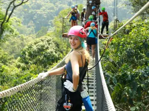 Kingkong Smile Zipline