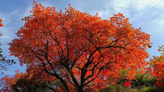 죽림 장수산