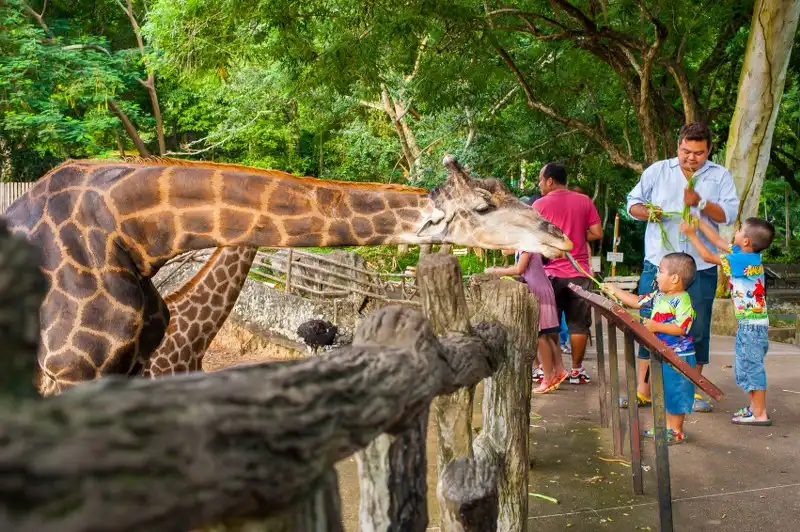 4_Khao Kheow Open Zoo