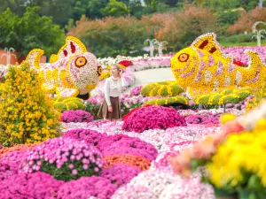 Manhua Sea of Flowers