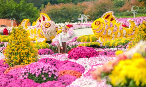 Manhua Sea of Flowers